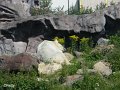34 - Lara schlaeft in der prallen Sonne